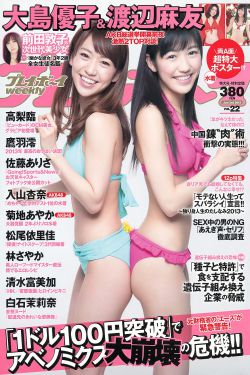 高hnp辣文