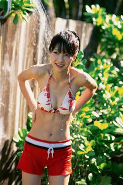 精灵守护者1